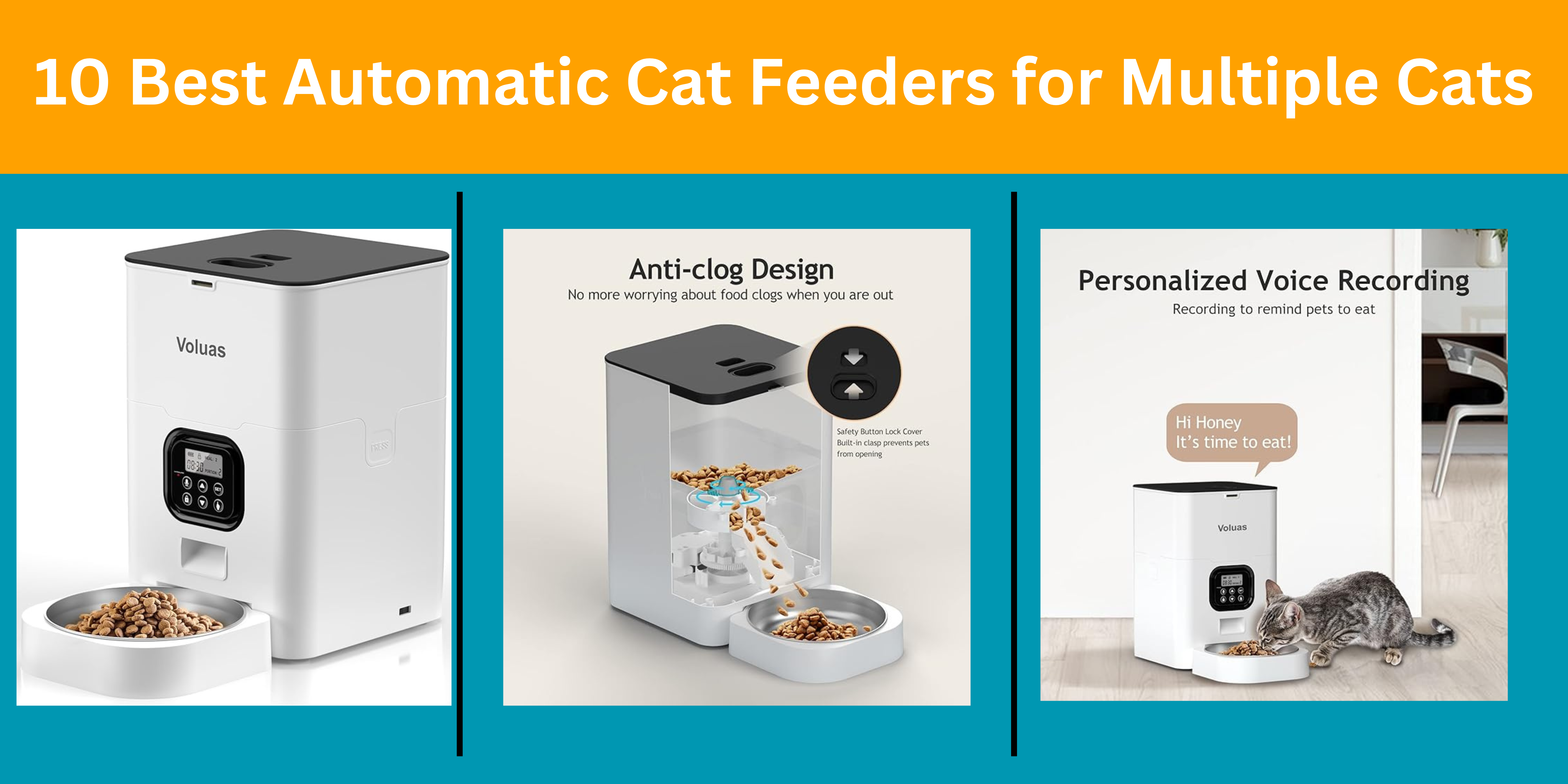 10 Best Automatic Cat Feeders for Multiple Cats