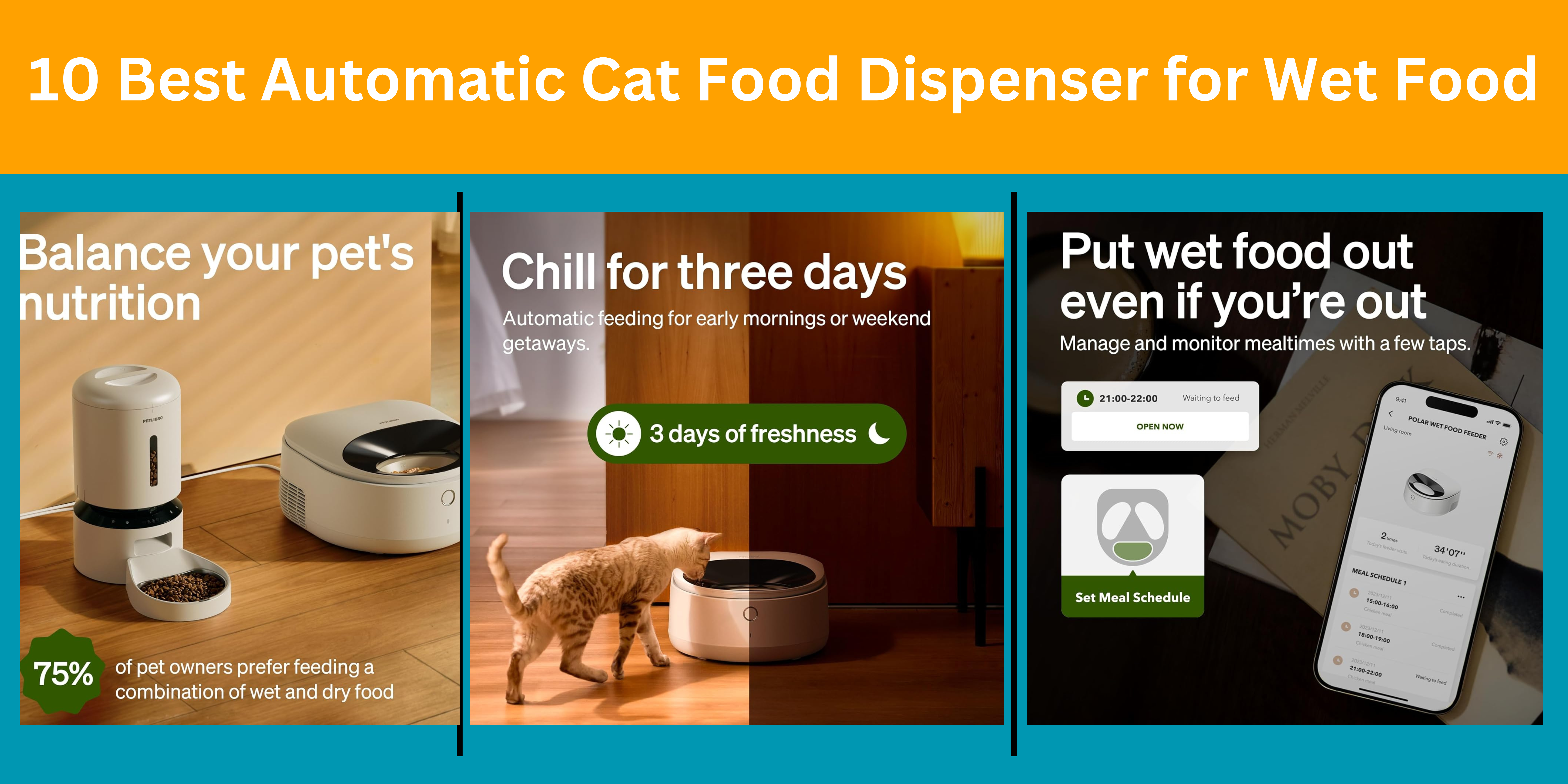 10 Best Automatic Cat Food Dispenser for Wet Food