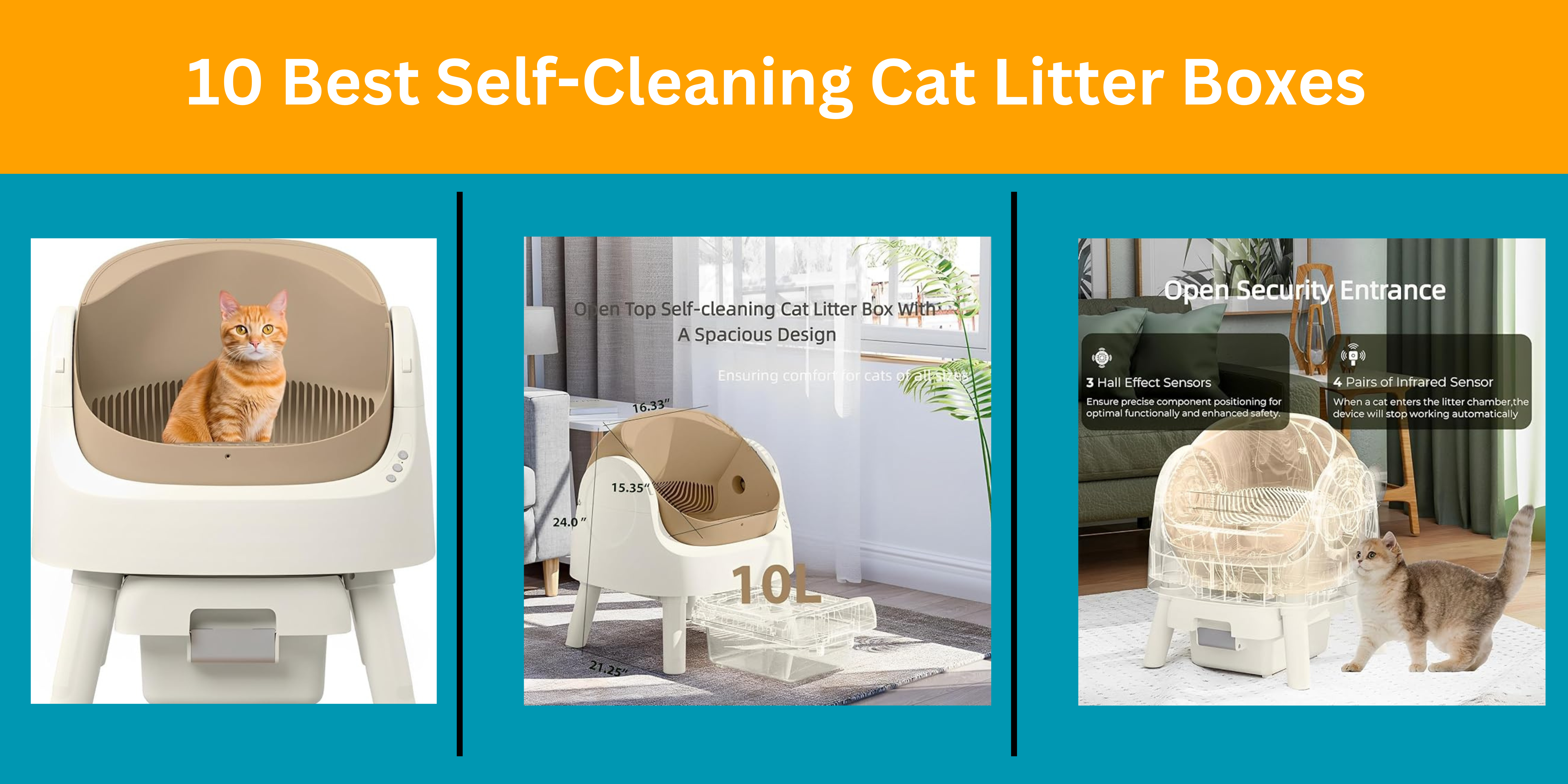 10 Best Self-Cleaning Cat Litter Boxes