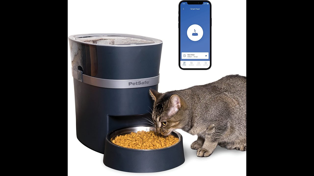 Best Cat Food Dispenser