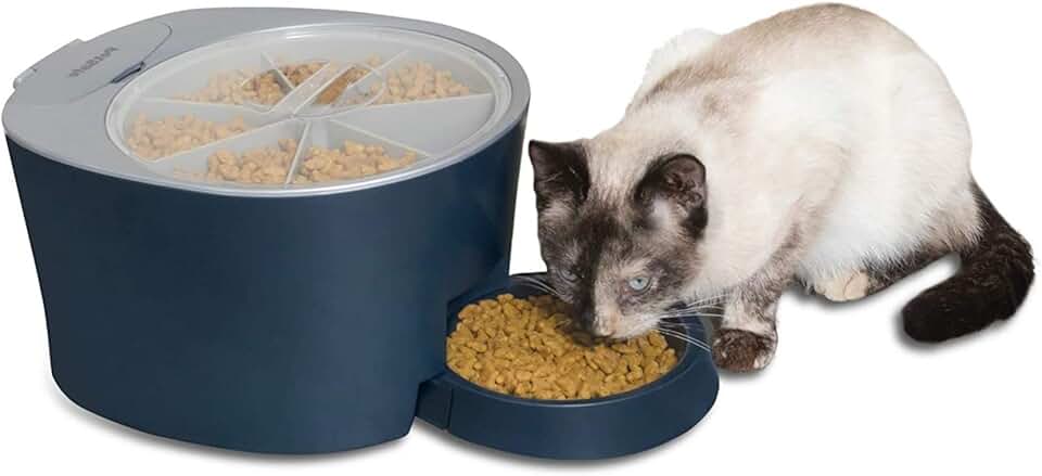Best Food Dispenser for Cats