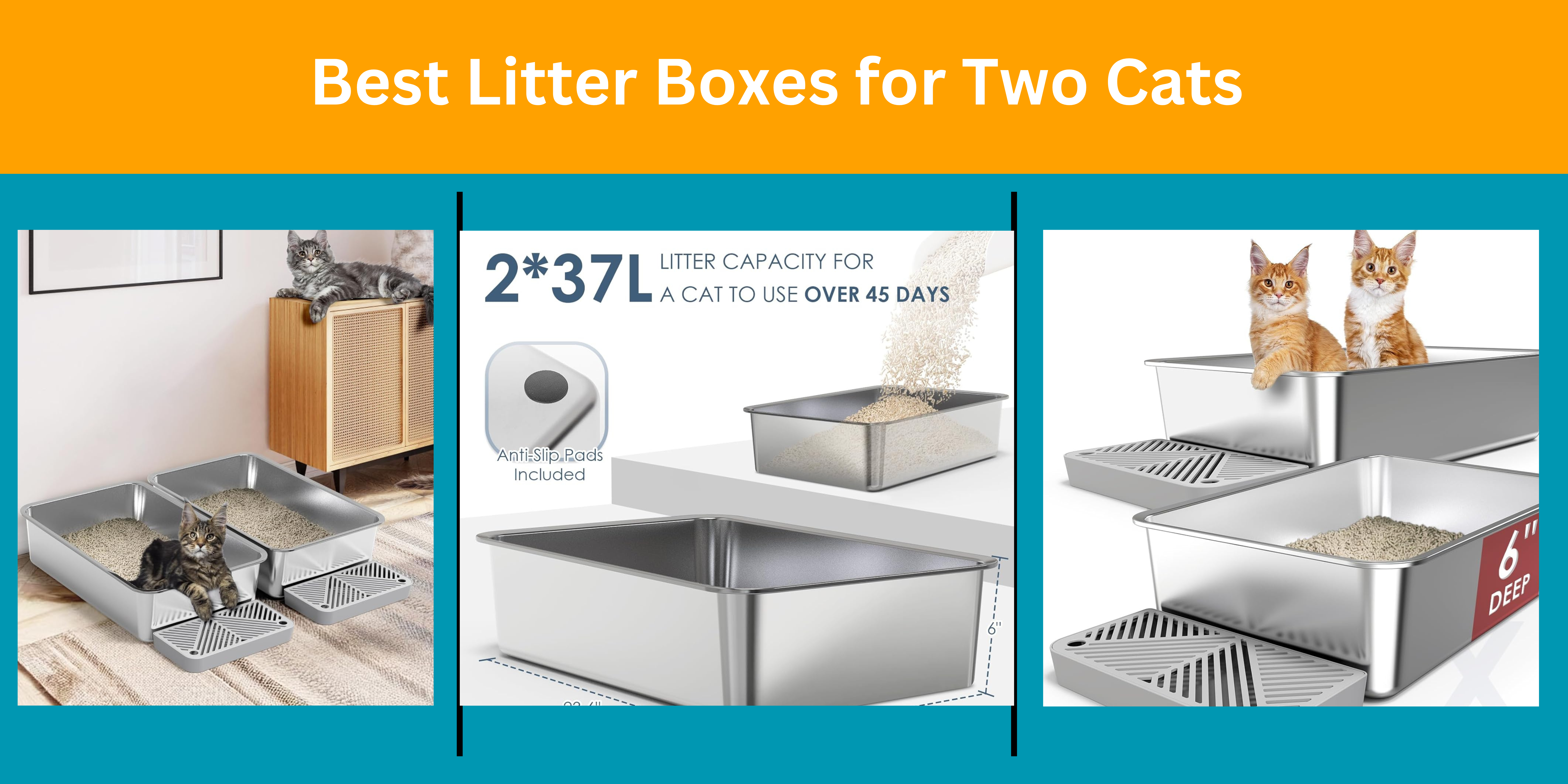 Best Litter Boxes for Two Cats