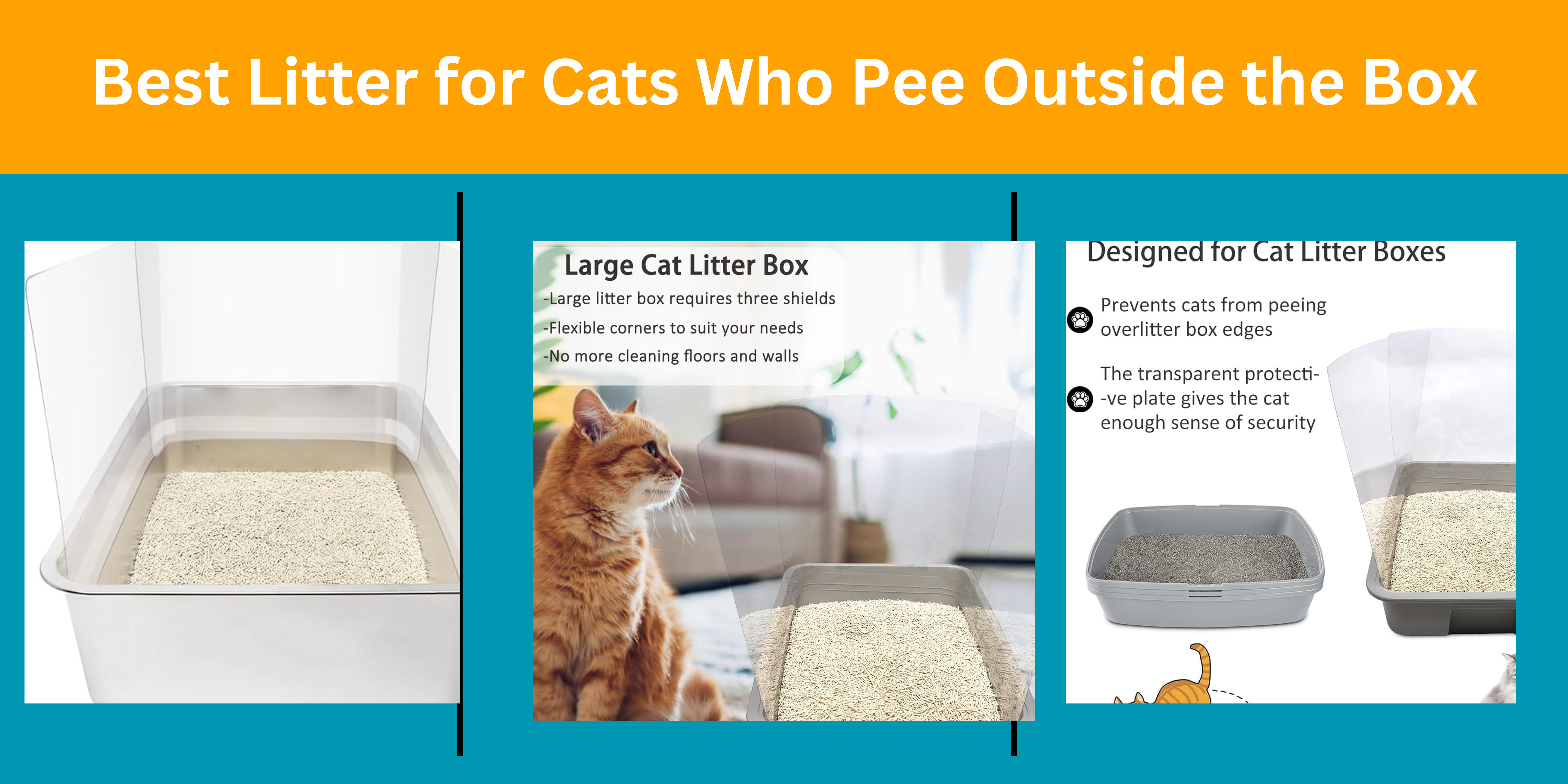 Best Litter for Cats Who Pee Outside the Box