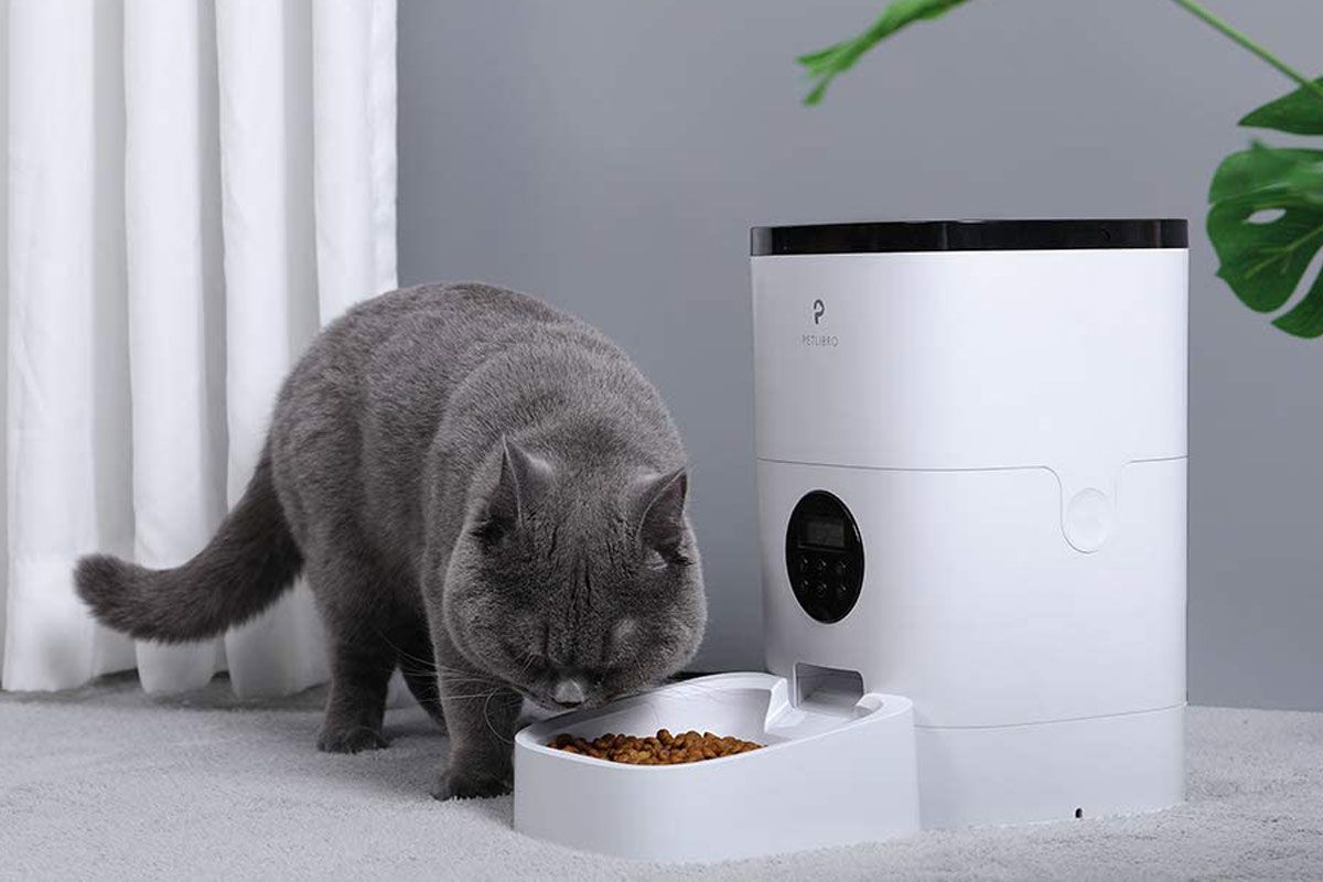Best Cat Automatic Feeders with Timers