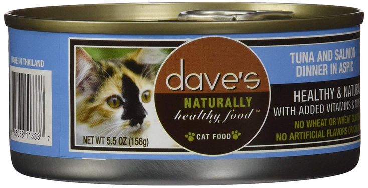 Dave's Pet Food Cat Review