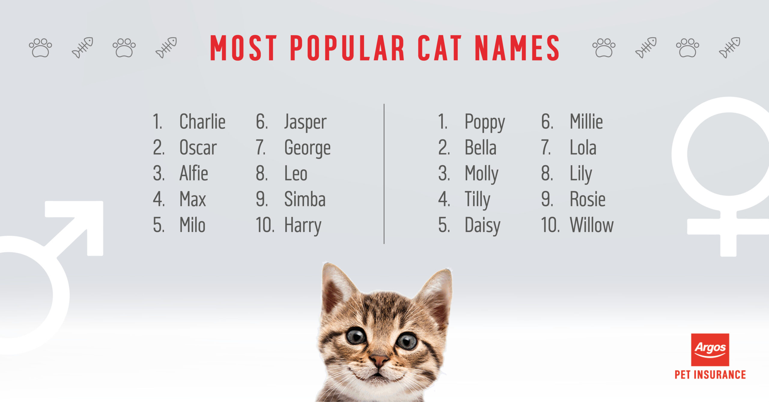 Gender Neutral Names for Cats