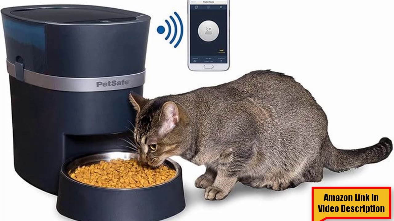 Wet Cat Food Automatic Feeder with Pet ID Technology